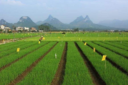 西北大學干部培訓「干訓教育」現代農業產業化專題培訓班_西北大學干部培訓「干訓教育」方案