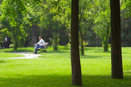 中共漢中市委黨校「干訓教育」漢中市委黨校-縣處級領導干部綜合素質提升培訓班_中共漢中市委黨校「干訓教育」方案